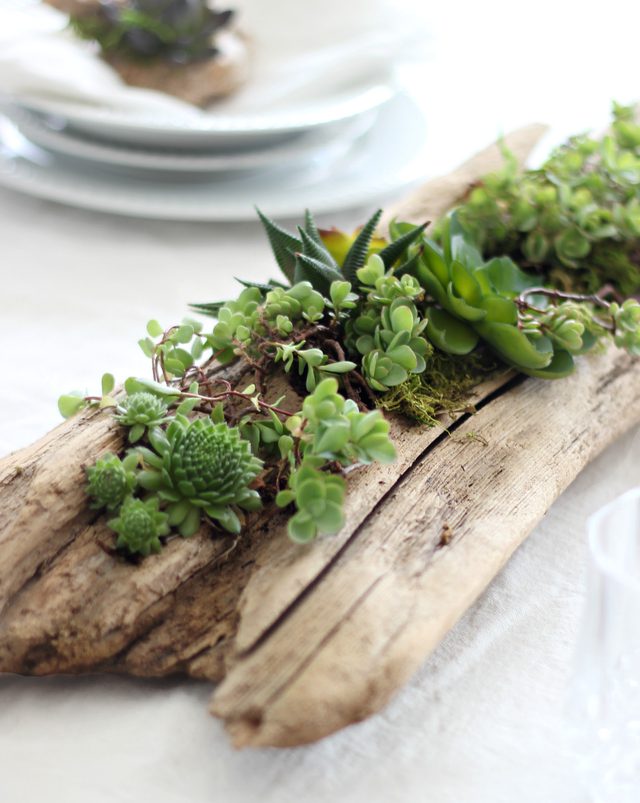 driftwood planter diy table planter