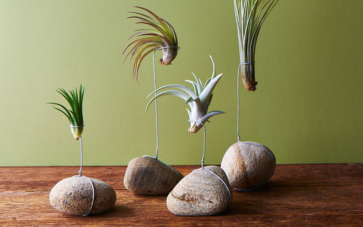 DIY Kokedama - Japanese Moss Ball Planters - Sand and Sisal