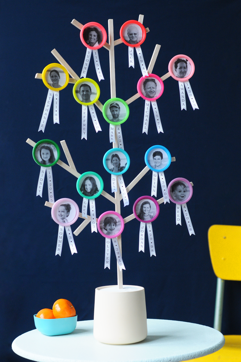 How To Make A Family Tree DIY Family Tree Craft