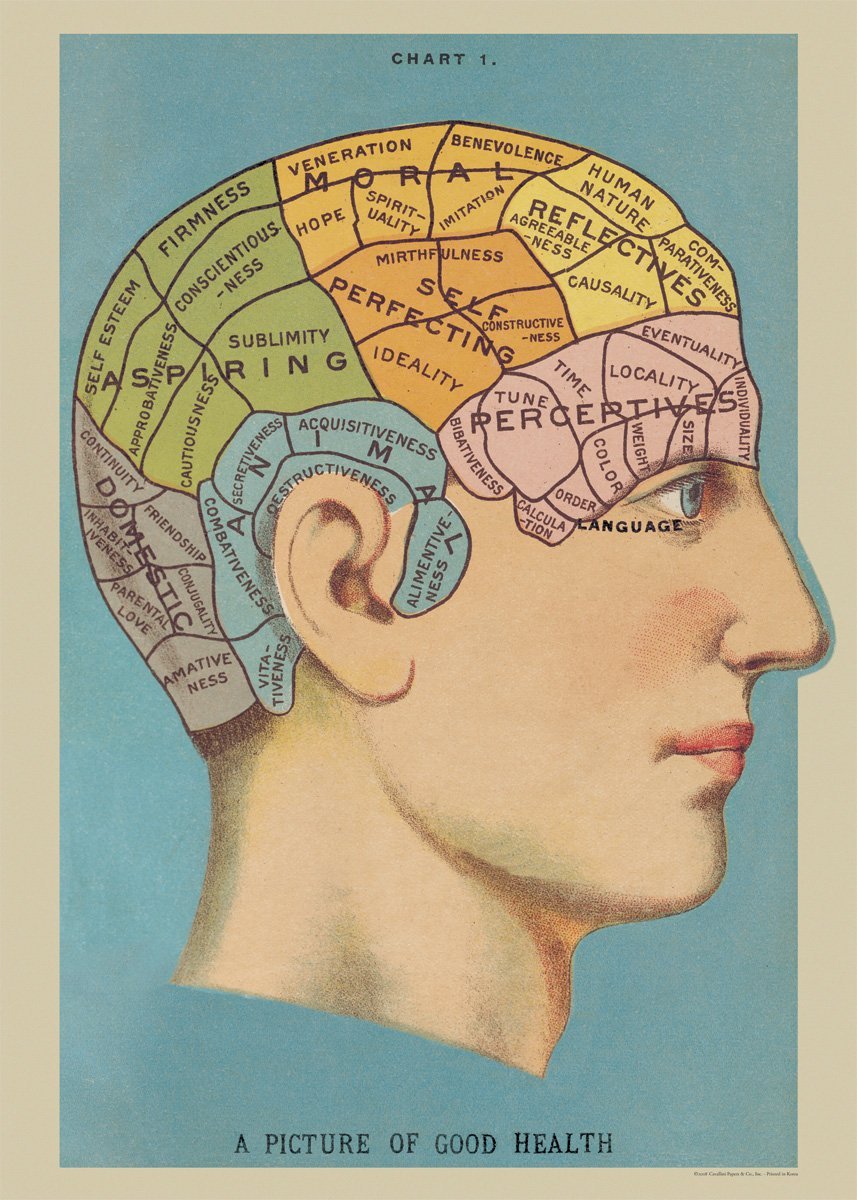 phrenology poster project kid